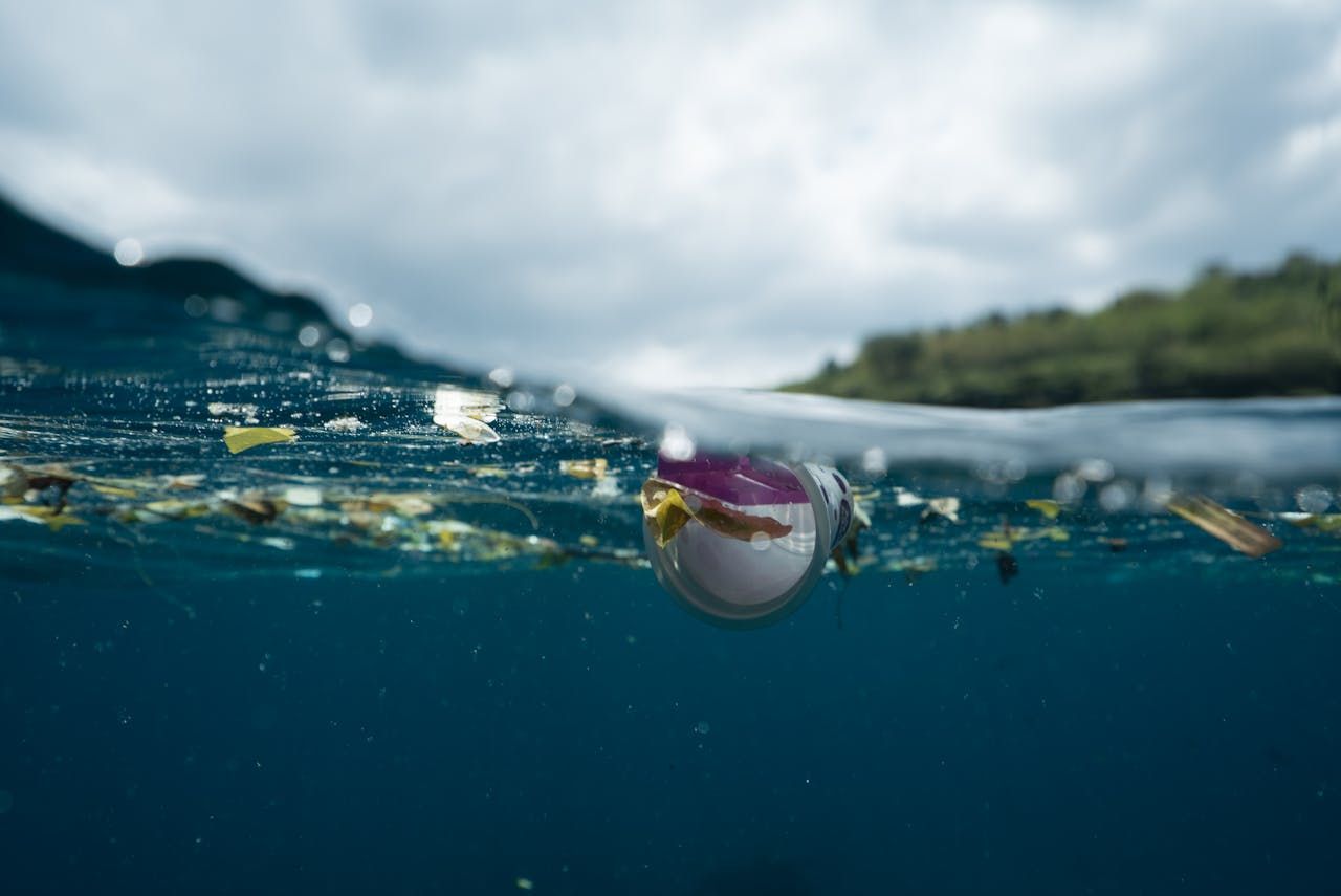 Die Bedrohung durch Plastikmüll in unseren Meeren